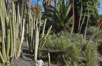 Jardines de Mosen Costa Llobera